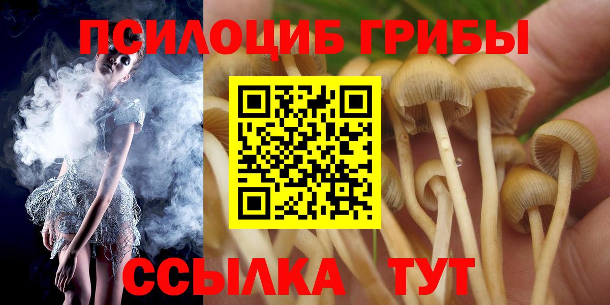 Псилоцибиновые грибы прущие грибы  Псилоцибиновые грибы ЛСД  Дедовск  Вход с VPN 
